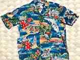 Hawaiian Shirt 9D